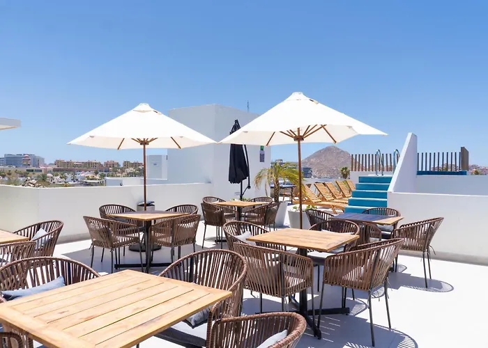 Colmena Cabos Marina