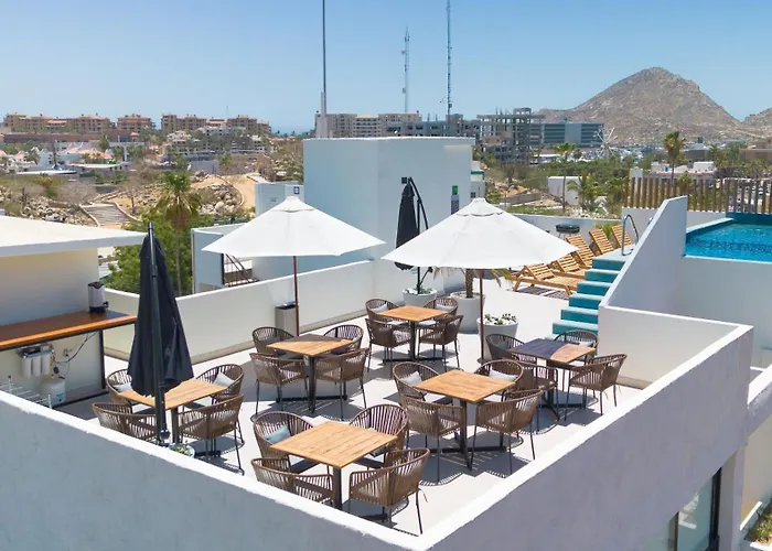 Colmena Cabos Marina