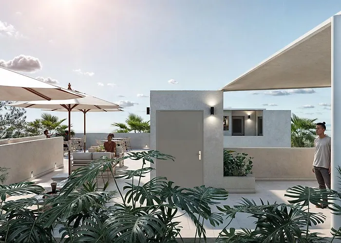 Colmena Cabos Marina Hotel