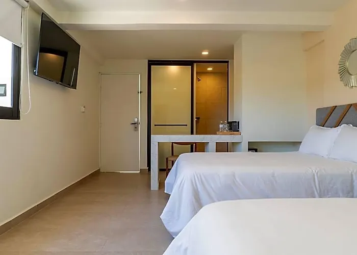 Colmena Cabos Marina 3*