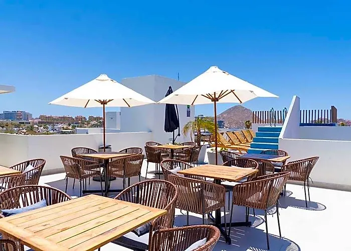 Colmena Cabos Marina