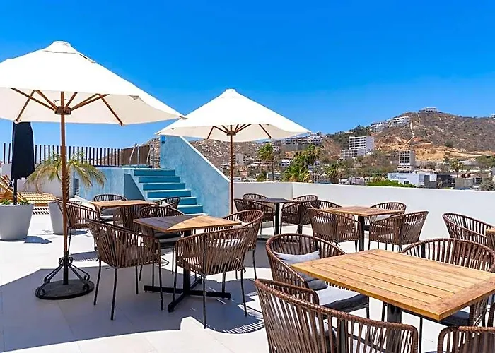 Colmena Cabos Marina